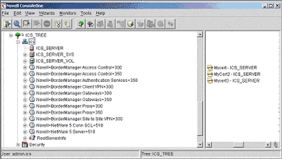 Novell I-Chain CSE Installation